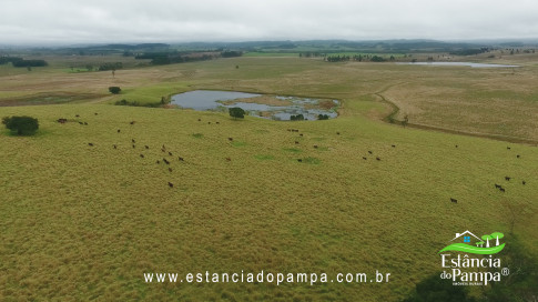 DA VARZEA ATE O GADO NA COXILHA.00_00_43_18.Quadro010_019e808116f622a10c62cac7c8a2b9685329fed1.jpg